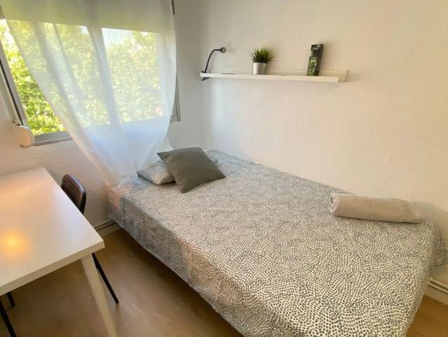 Shared apartment in Madrid