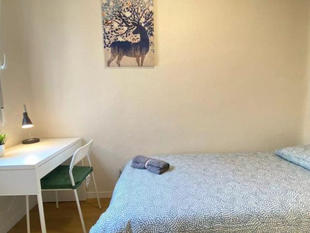 Shared apartment in Madrid