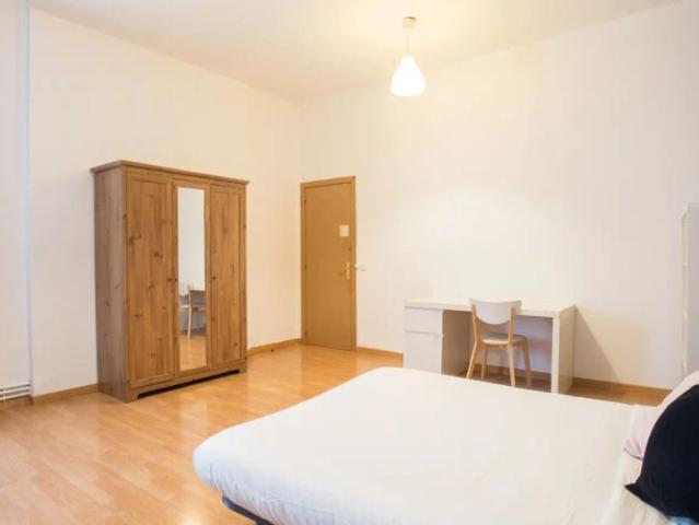 Shared apartment in Madrid