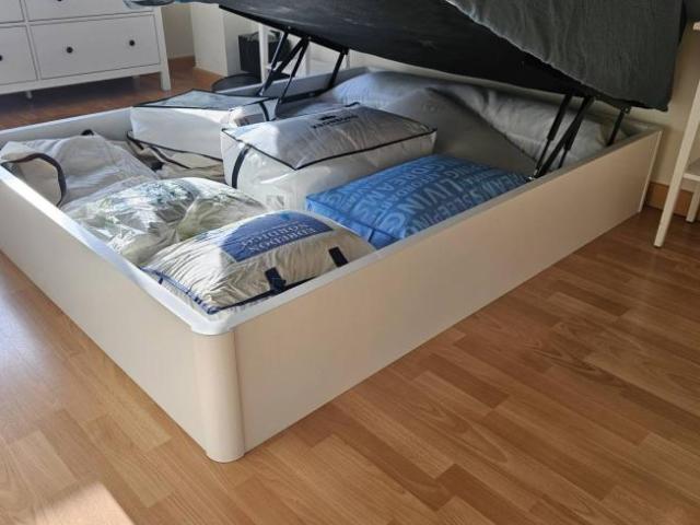 Shared Living/Roommate 3 Dormitorio Murcia Murcia ELS101095681