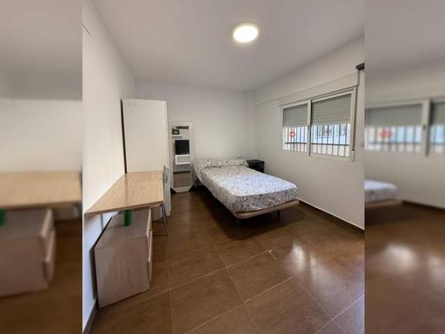 Shared Living/Roommate 3 Dormitorio Alicante Alicante ELS95198534