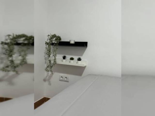 Shared Living/Roommate 3 Dormitorio Alicante Alicante ES91688317
