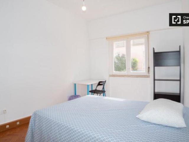 shared living/roommate 3 quarto, Lisbon Lisbon 1500 154 DLS90113461