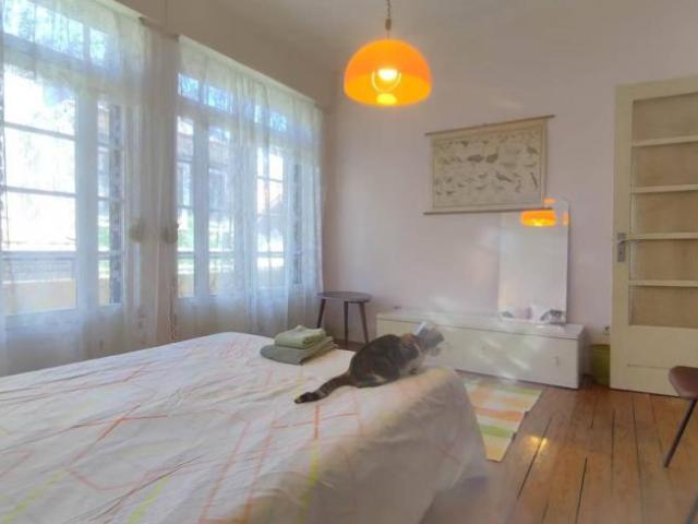 shared living/roommate 3 quarto, Porto Porto 4000 253 DS90244230