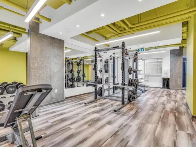 Shared Living/roommate 1 Bedroom For Rent Ottawa Ottawa 1350 ELS97833872