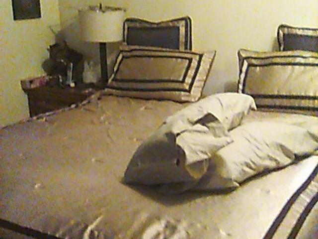 Shared Living/roommate 1 Bedroom For Rent Calgary AB 900 ES97415508