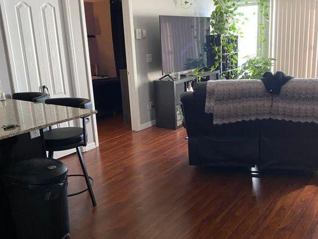 Shared Living/roommate 1 Bedroom For Rent Sherwood Park AB 800 ELS97414422