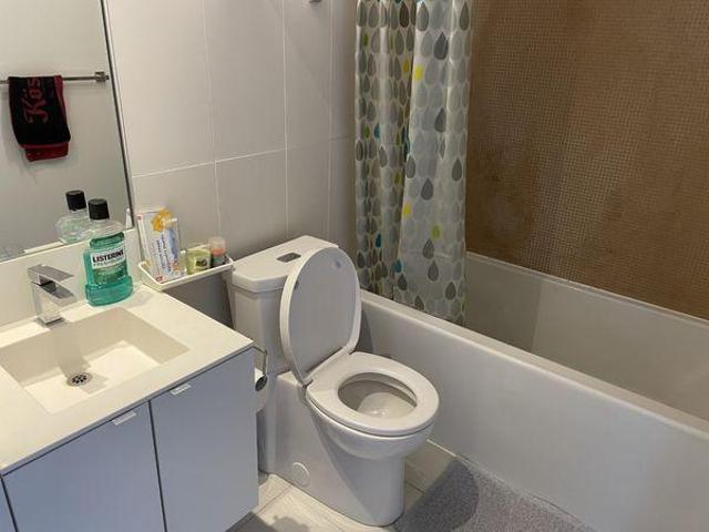 Shared Living/roommate 1 Bedroom For Rent Toronto ON 1500 ELS96647541