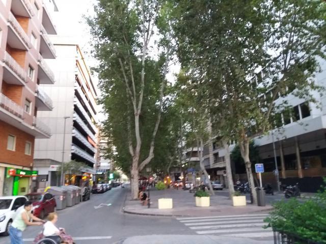 Shared Living/Roommate 1 Dormitorio Murcia Murcia ELS65795120