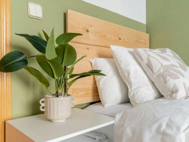 Shared Living/Roommate 1 Dormitorio Madrid Madrid ELS100124023