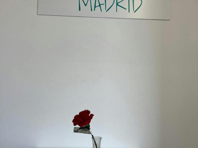 Shared Living/Roommate 1 Dormitorio Madrid Madrid ELS101838654