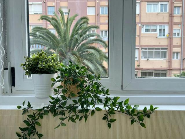 Shared Living/Roommate 1 Dormitorio Madrid Madrid ES99689810