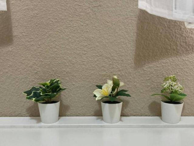 Shared Living/Roommate 1 Dormitorio Madrid Madrid ES101792957