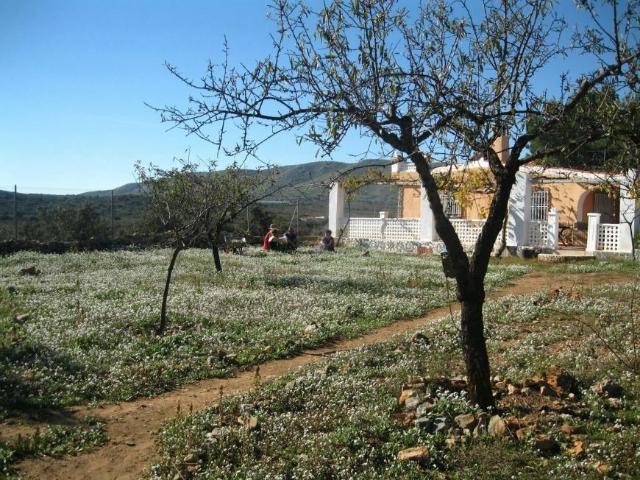 Shared Living/Roommate 1 Dormitorio Alcublas Alcublas ES101950992