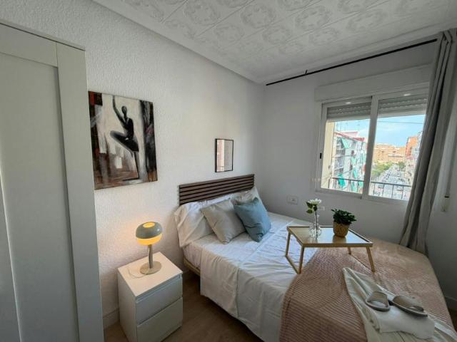 Shared Living/Roommate 1 Dormitorio Alicante Alicante ELS102145274