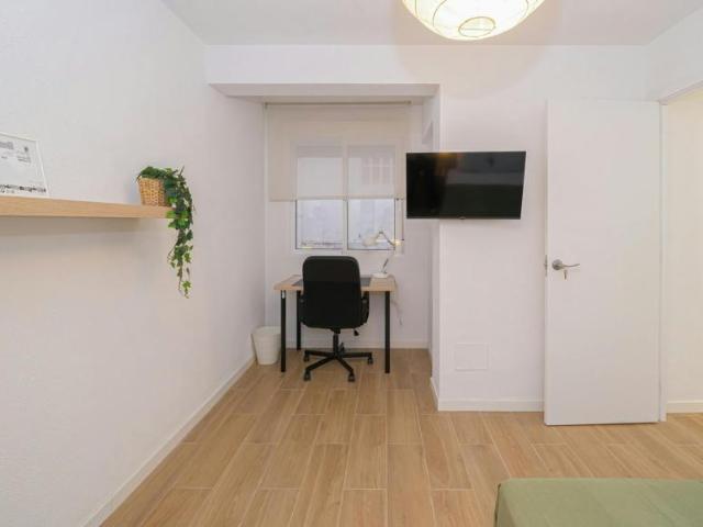 Shared Living/Roommate 1 Dormitorio Alicante Alicante ELS102753659
