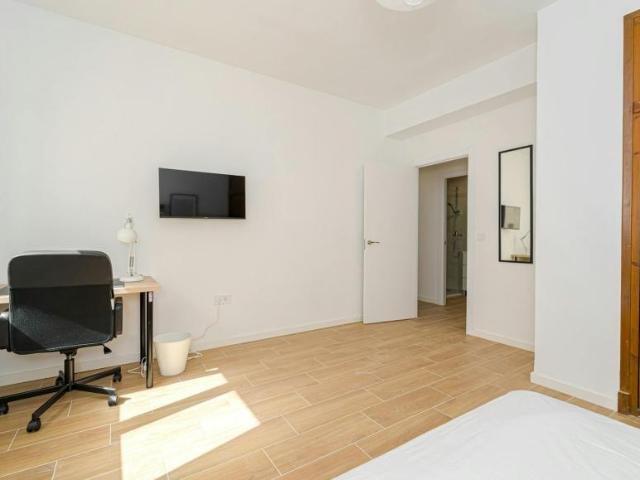 Shared Living/Roommate 1 Dormitorio Alicante Alicante ELS102753616