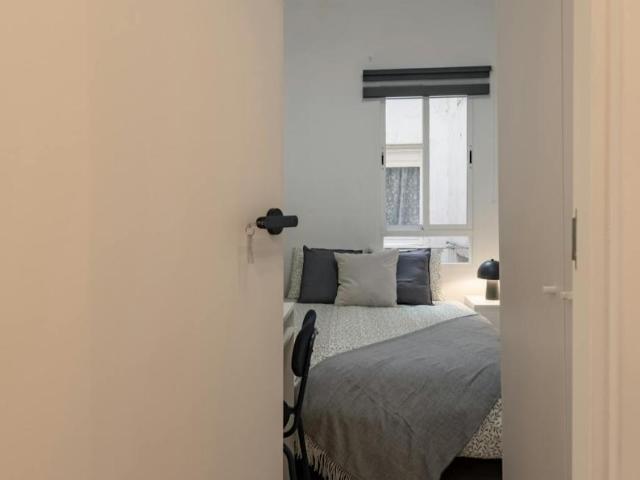 Shared Living/Roommate 1 Dormitorio Alicante Alicante ELS102847693