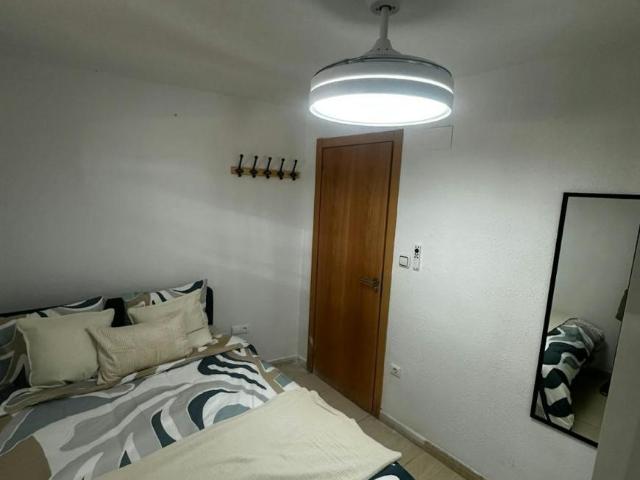 Shared Living/Roommate 1 Dormitorio Alicante Alicante ELS102849909