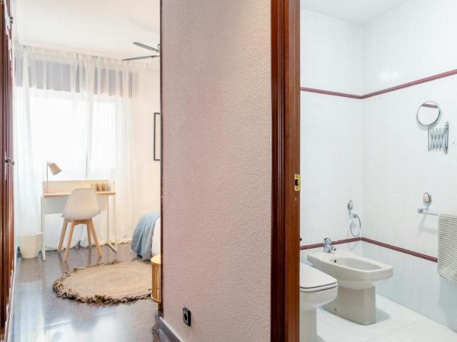 Shared Living/Roommate 1 Dormitorio Alicante Alicante ELS102851796