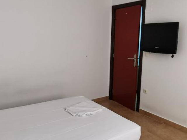 Shared Living/Roommate 1 Dormitorio Alicante Alicante ELS102851923