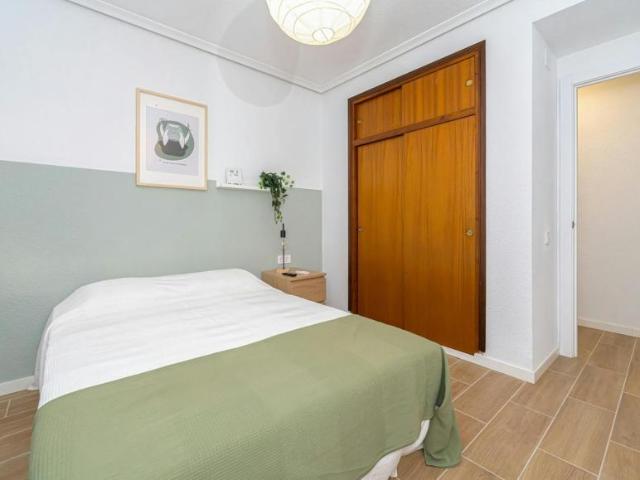 Shared Living/Roommate 1 Dormitorio Alicante Alicante ELS102852161