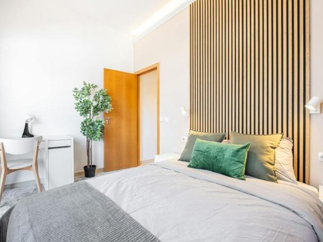 Shared Living/Roommate 1 Dormitorio Alicante Alicante ELS102813494