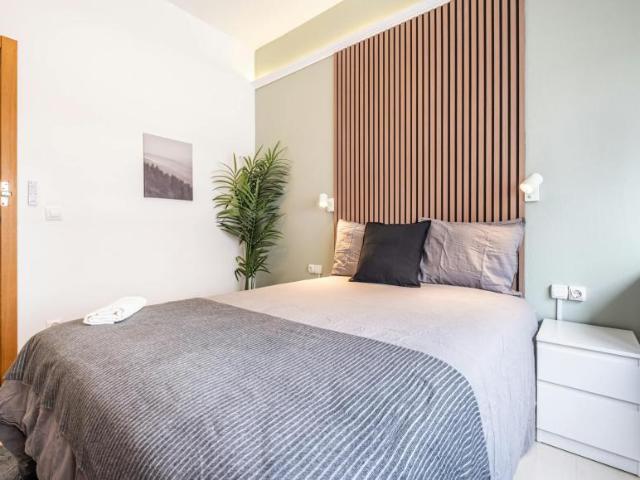 Shared Living/Roommate 1 Dormitorio Alicante Alicante ELS102813421