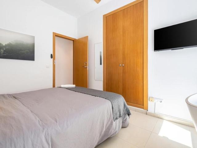 Shared Living/Roommate 1 Dormitorio Alicante Alicante ELS102813504