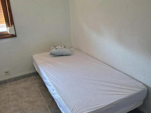 Shared Living/Roommate 1 Dormitorio Alicante Alicante ELS95418517