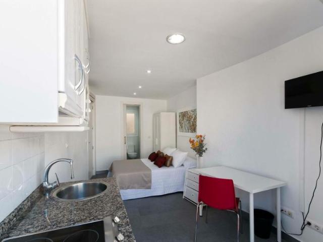 Shared Living/Roommate 1 Dormitorio Alicante Alicante ES104436672