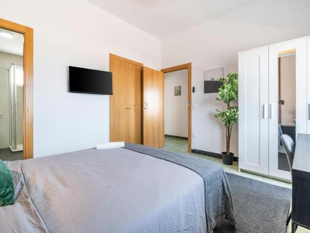 Shared Living/Roommate 1 Dormitorio Alicante Alicante ES104471890