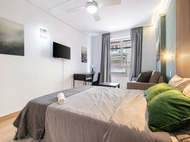 Shared Living/Roommate 1 Dormitorio Alicante Alicante ES104682279