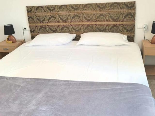 Shared Living/Roommate 1 Dormitorio Alicante Alicante ES104782988