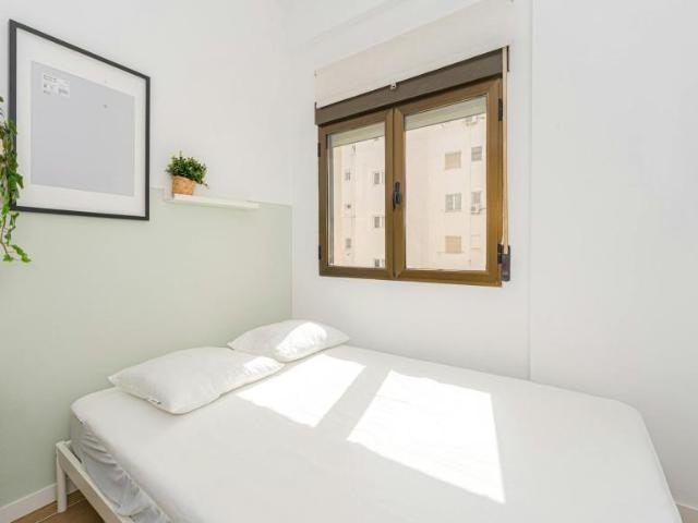 Shared Living/Roommate 1 Dormitorio Alicante Alicante ES100715408