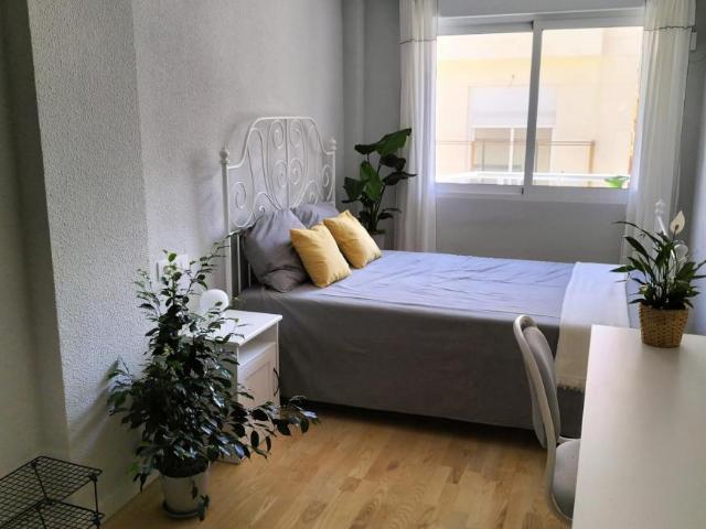 Shared Living/Roommate 1 Dormitorio Alicante Alicante ES100728945