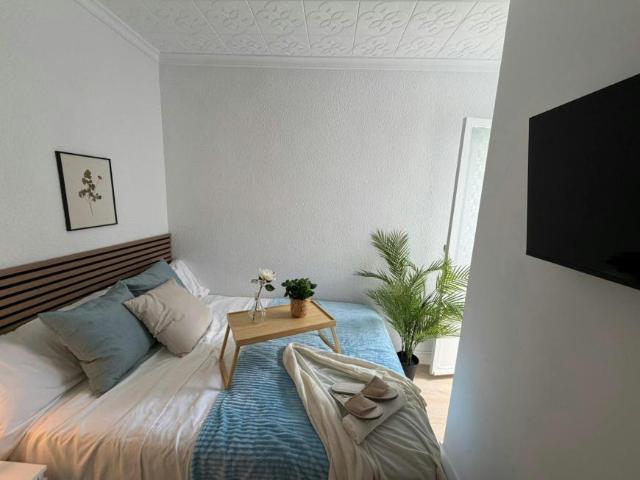 Shared Living/Roommate 1 Dormitorio Alicante Alicante ES102145285