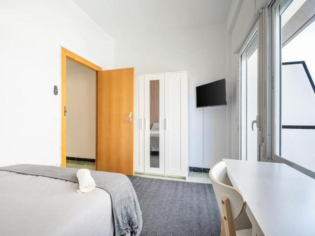 Shared Living/Roommate 1 Dormitorio Alicante Alicante ES102847742