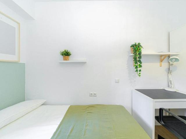 Shared Living/Roommate 1 Dormitorio Alicante Alicante ES102850474