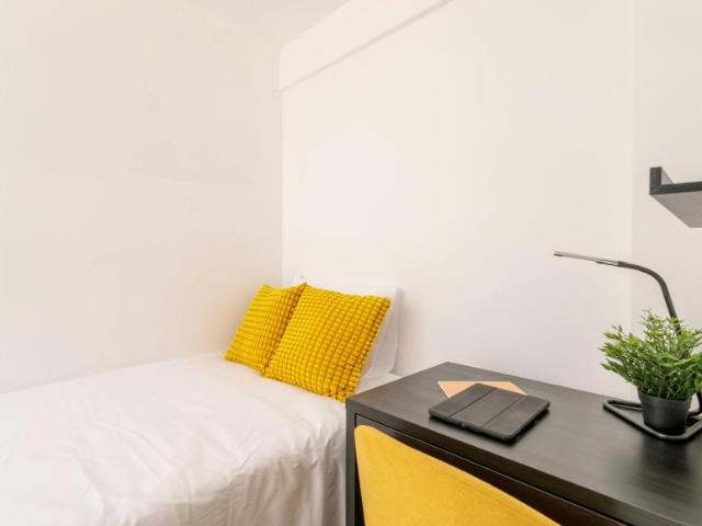 Shared Living/Roommate 1 Dormitorio Alicante Alicante ES102850953