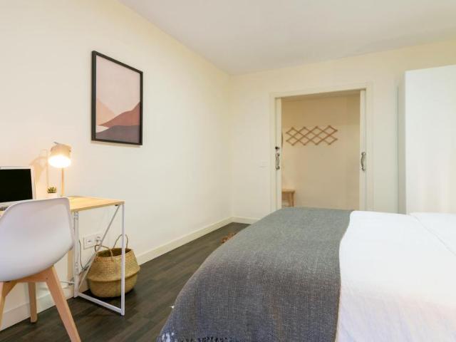 Shared Living/Roommate 1 Dormitorio Alicante Alicante ES102852804
