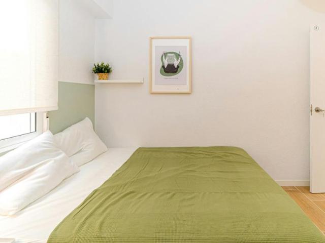Shared Living/Roommate 1 Dormitorio Alicante Alicante ES103613123