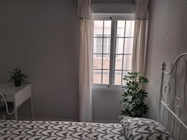 Shared Living/Roommate 1 Dormitorio Alicante Alicante ES77941510