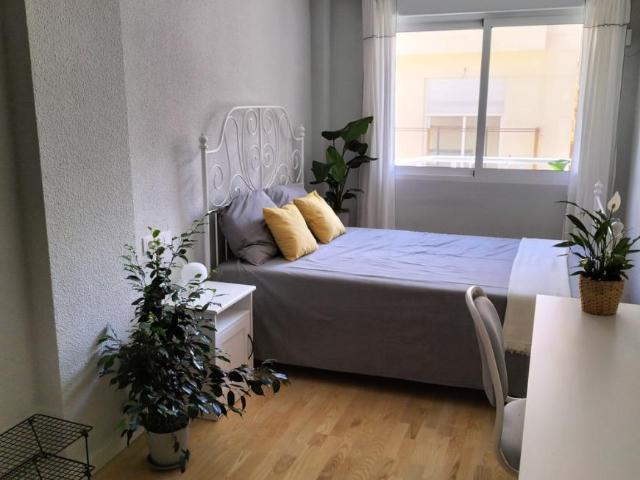 Shared Living/Roommate 1 Dormitorio Alicante Alicante ES77941595