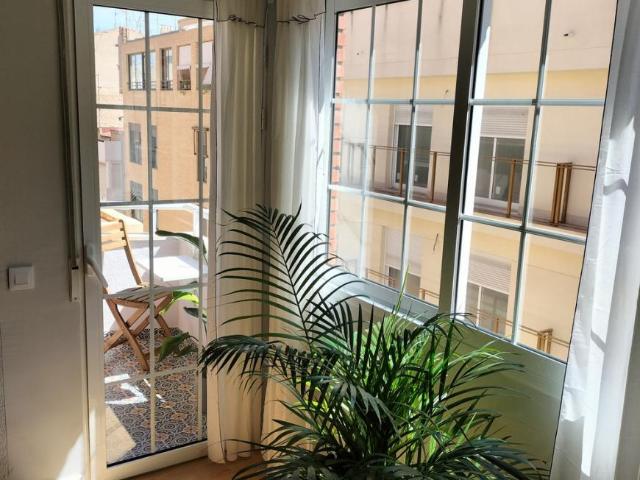 Shared Living/Roommate 1 Dormitorio Alicante Alicante ES77941597