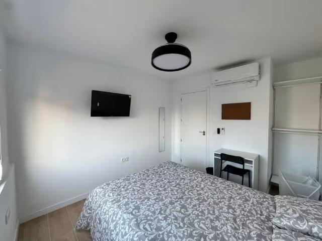 Shared Living/Roommate 1 Dormitorio Alicante Alicante ES95904118