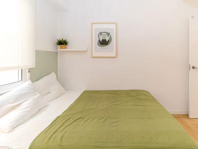Shared Living/Roommate 1 Dormitorio Alicante Alicante ES95915553