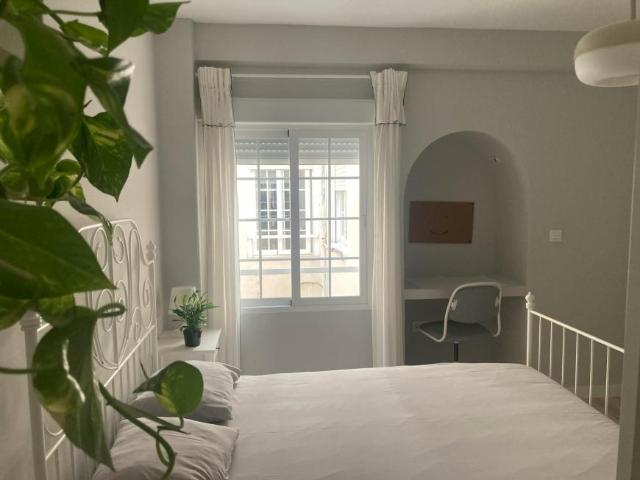 Shared Living/Roommate 1 Dormitorio Alicante Alicante ES99691774