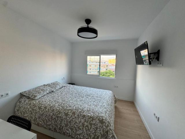 Shared Living/Roommate 1 Dormitorio Alicante Alicante ES99385919