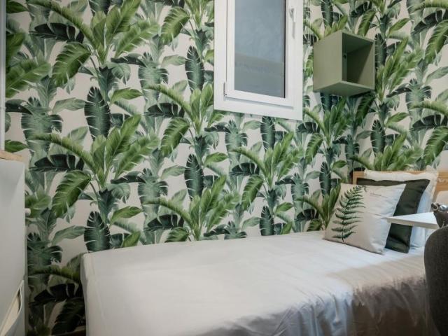 Shared Living/Roommate 1 Dormitorio Barcelona Barcelona ELS99636732